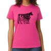 Softstyle™ midweight women’s t-shirt Thumbnail